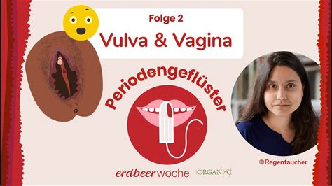 Vulva: Diese Formen gibt es